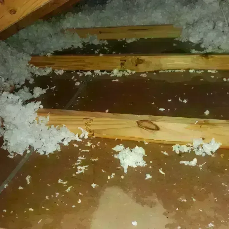 Attic Water Damage in Salem, IL