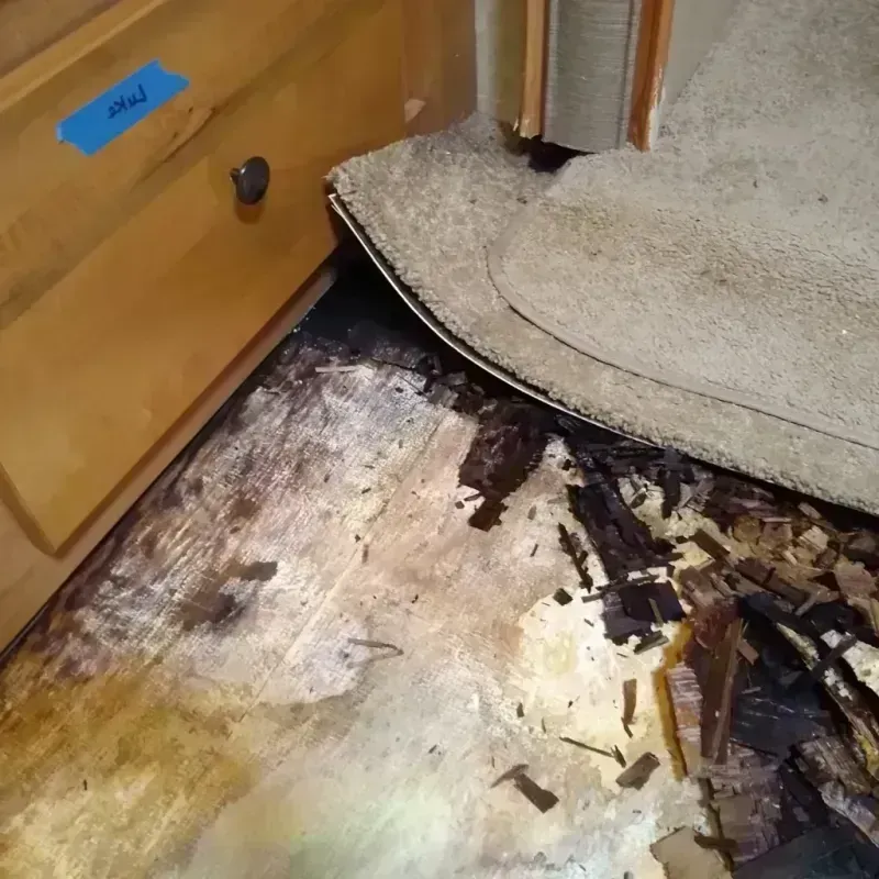 Wood Floor Water Damage in Salem, IL